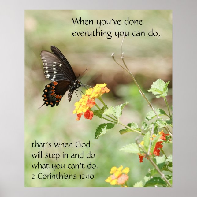 Butterfly on Wildfllowers, Scripture Verse Poster (Front)