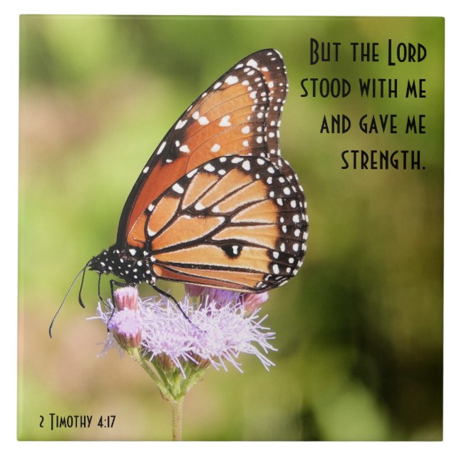 Butterfly on Wildflower w/ Scripture Verse Tile (Front)