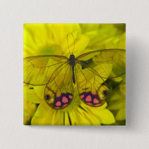 Butterfly on Yellow 2 Inch Square Button