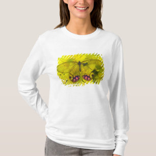 Butterfly on Yellow T-Shirt