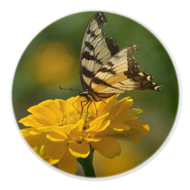 Butterfly On Zinnia Ceramic Knob (Front)