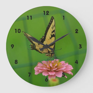 Butterfly On Zinnia Wall Clock