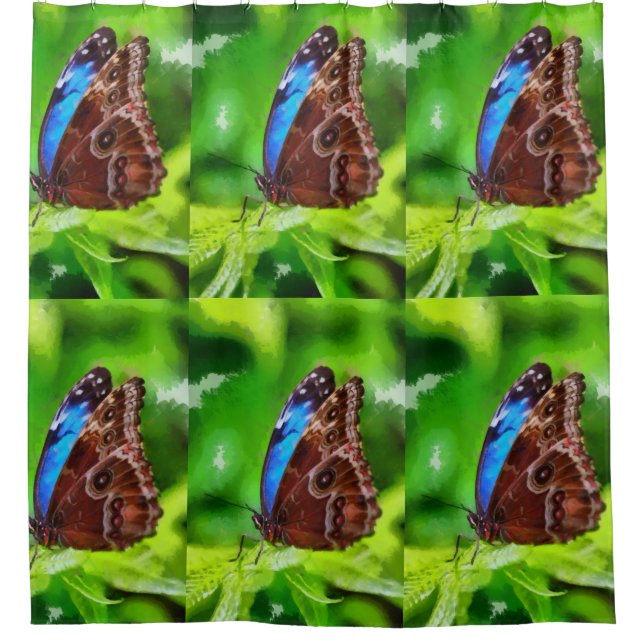 Butterfly painting (Front)