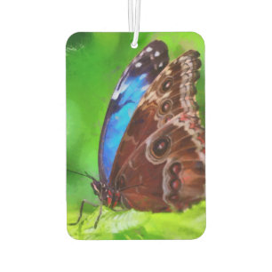 Butterfly painting air freshener