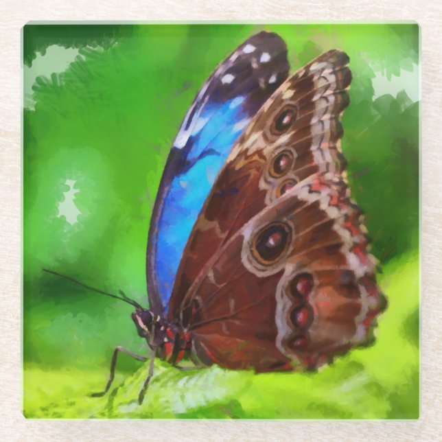 Butterfly painting glass coaster (Front)
