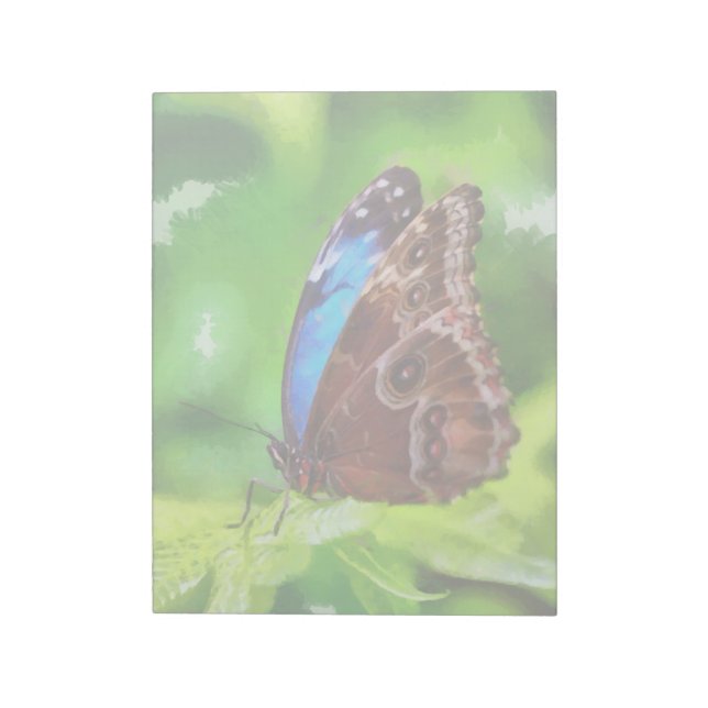 Butterfly painting notepad (Rotated)
