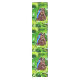 Butterfly painting short table runner