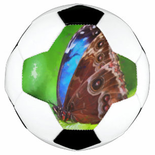 Butterfly painting soccer ball
