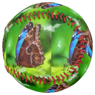 Butterfly painting softball