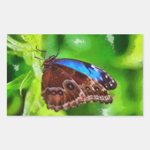 Butterfly painting sticker