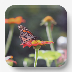 Butterfly Paper Plates