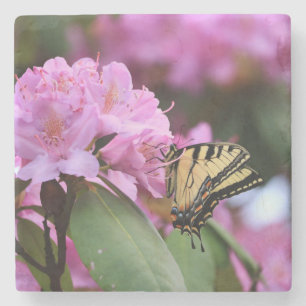 Butterfly Paradise Stone Coaster