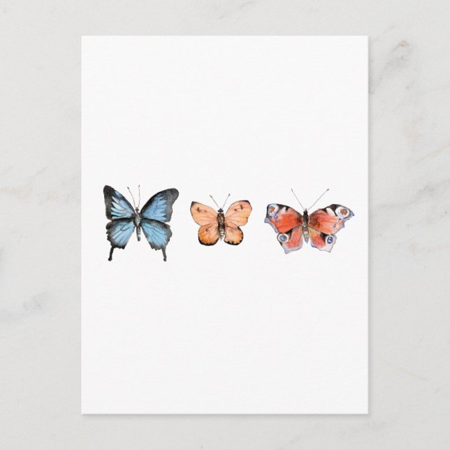 Butterfly Pattern Postcard (Front)