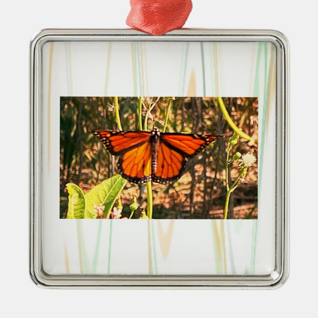 Butterfly Photo Ornament  (Front)