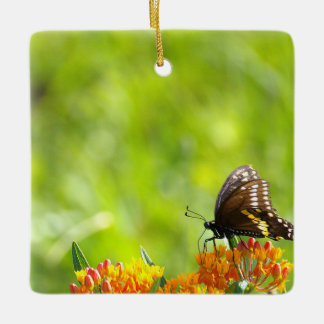 Butterfly Photo Ornament