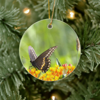 Butterfly Photo Ornament
