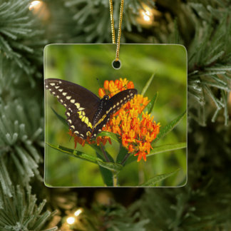 Butterfly Photo Ornament