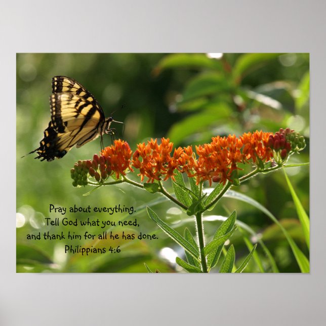 Butterfly Photo Philippians Bible Verse poster (Front)
