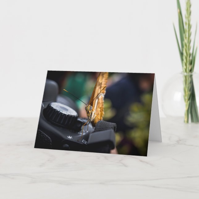 Butterfly Photographer Blank Card (Front)