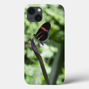 Butterfly Photography iPhone 13 Case