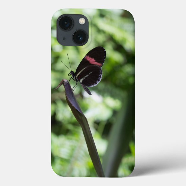 Butterfly Photography Case-Mate iPhone Case (Back)