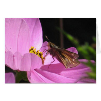 Butterfly Plain Card