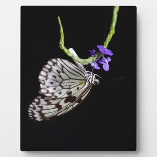 Butterfly Plaque