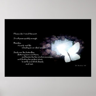 Butterfly Poem Poster