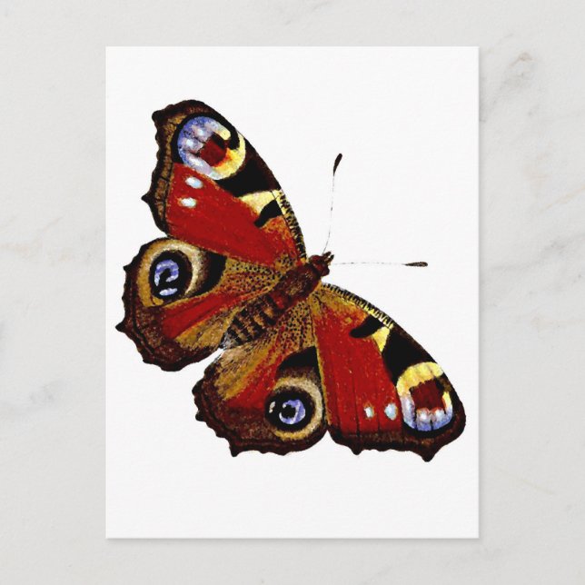 Butterfly Postcard (Front)