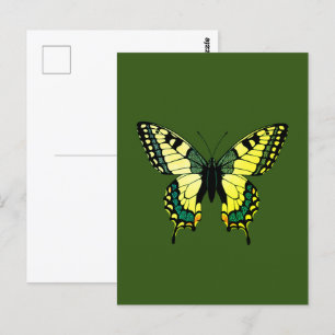 Butterfly Postcard