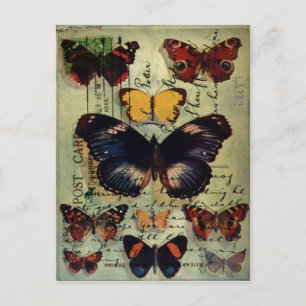 Butterfly Postcard