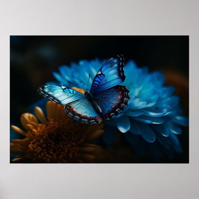 Butterfly Poster (Front)
