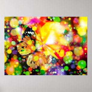 Butterfly Poster