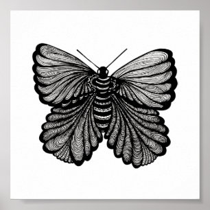 Butterfly Poster