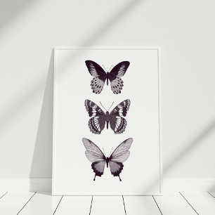 Butterfly Poster