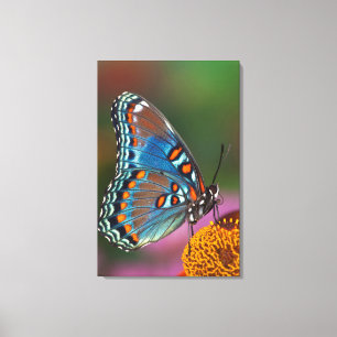 Butterfly profile on a flower canvas print