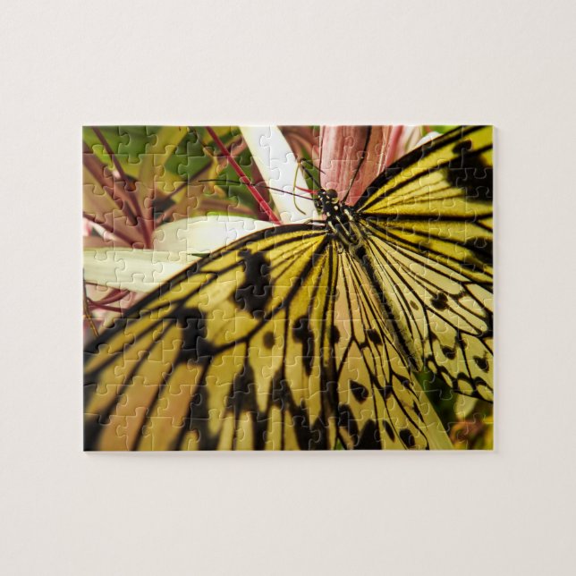 Butterfly Puzzle (Horizontal)