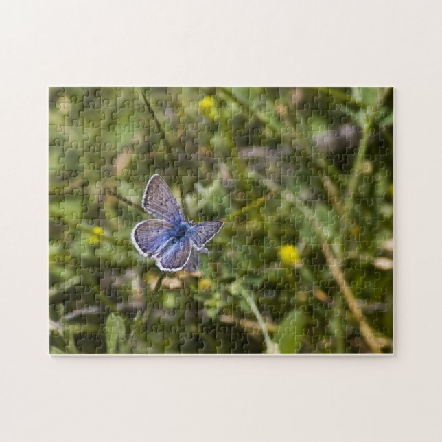 Butterfly Puzzle 3 (Horizontal)