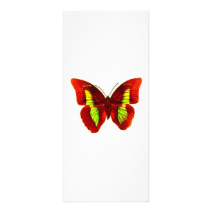 Butterfly Rack Card
