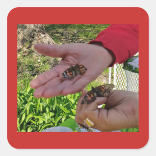 Butterfly Release Sticker