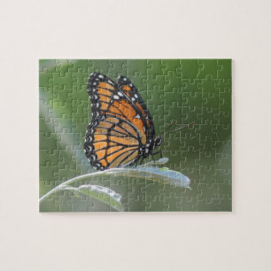 Butterfly Resting On A Leaf Jigsaw Puzzle