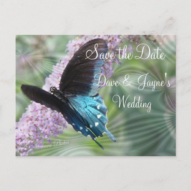 Butterfly Save the Date-customize Announcement Postcard (Front)