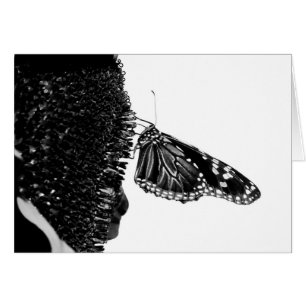 butterfly shy blacq