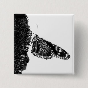 butterfly shy blacq 2 inch square button