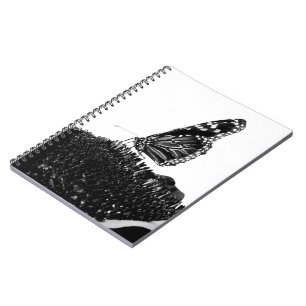 butterfly shy blacq notebook