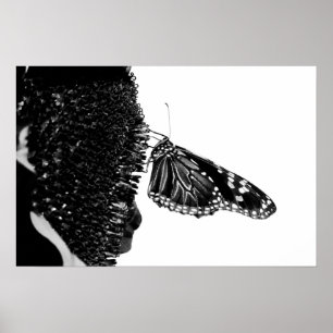 butterfly shy blacq poster