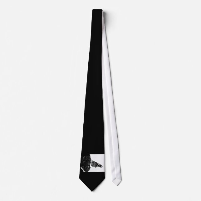 butterfly shy blacq tie (Front)