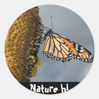 butterfly shy classic round sticker