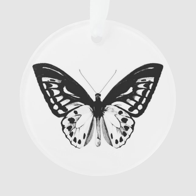 Butterfly sketch, black and white ornament (Front)