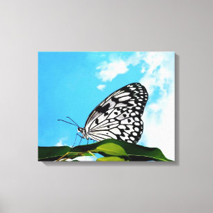 Butterfly & Sky Canvas Print